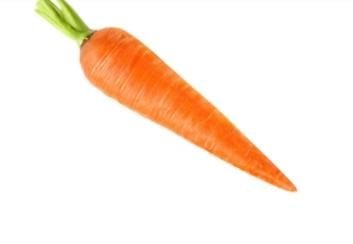 Flare Seeds Orange Carrot Seeds Gaajar Seeds Pack of 300 Seeds