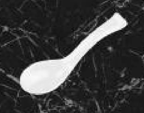 Servewell Add - Ons Soup Spoons Persian