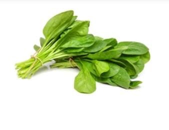 Palak Spinach Around 100 Seeds, Green