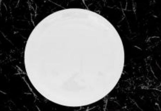 Servewell Dinnerware Diana plates Pack of 3