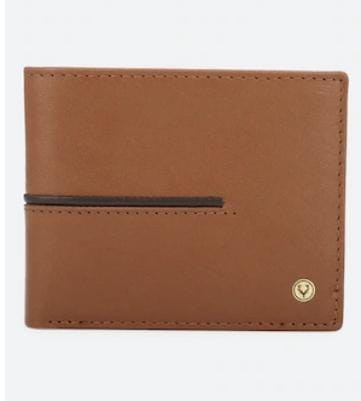 Allen Solly Solid Leather Wallet For Men
