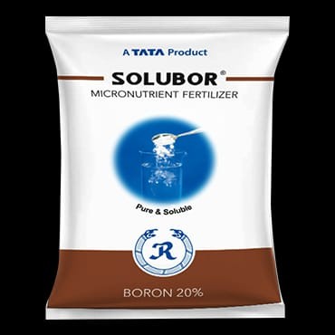 Solubor Micronutrient Fertilizer (100gm)