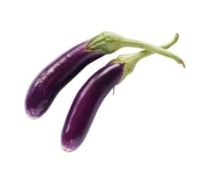 Purple Long Brinjal Seed 100 SEED
