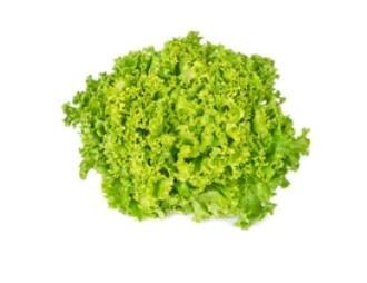 AllThatGrows Lettuce Lollo Bionda Seeds - (Pack Of 800 Seeds)