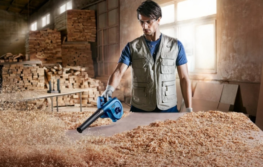 Bosch Blower GBL 620 Professional (0601980SF0)