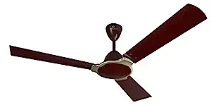 Bajaj Pride Neo 1400 mm Brown  CF (250914)