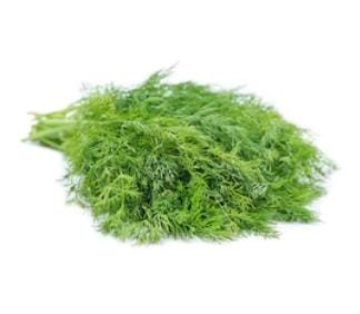 Dill Soya Seeds For Home Gardening(500 Seeds)