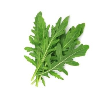 AllThatGrows Eruca Sativa, Arugula Exotic Herb Seeds Pack of 250 Seeds