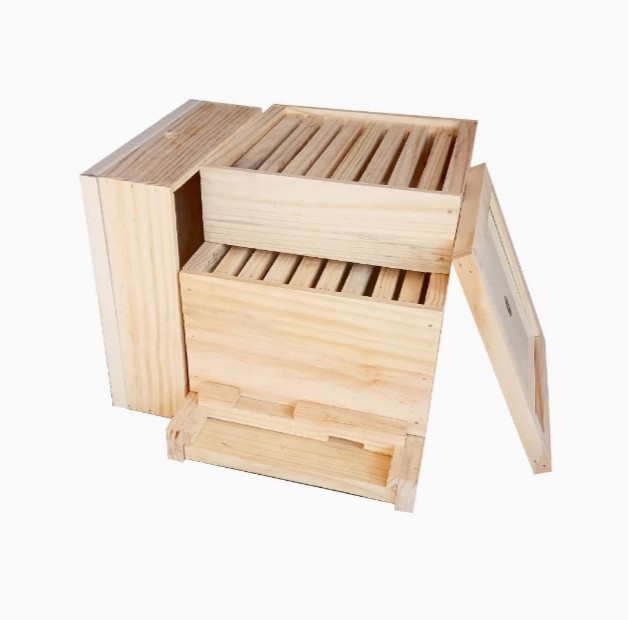 Honey bee box ( apis cerana)/Bee House?