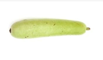 Biocarve Seeds Bottle Gourd Long Seeds for Home & Terrace Gardening | Indoor & Outdoor Vegetable Seeds - Pack of 20 Seeds