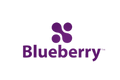 BLUE BERRY