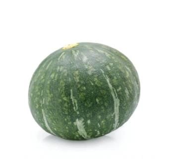 Hybrid Very Big Size pumpkin 20  Seeds For Planting Home And garding