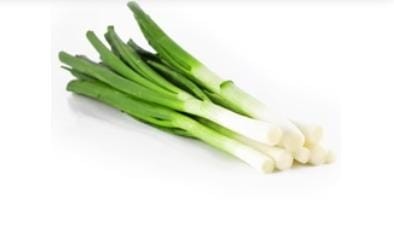 PLANTOGALLERY Vegetable Seeds |Leek Vegetable Seeds For Home Garden (50 Seeds Pack)